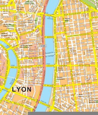 lyon vector map